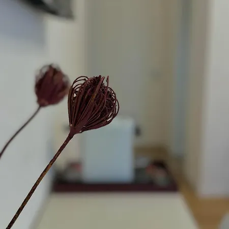 Sanla 산레자로디사베나